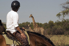 South Africa-Waterberg/Mashatu-African Explorer Horse Safari